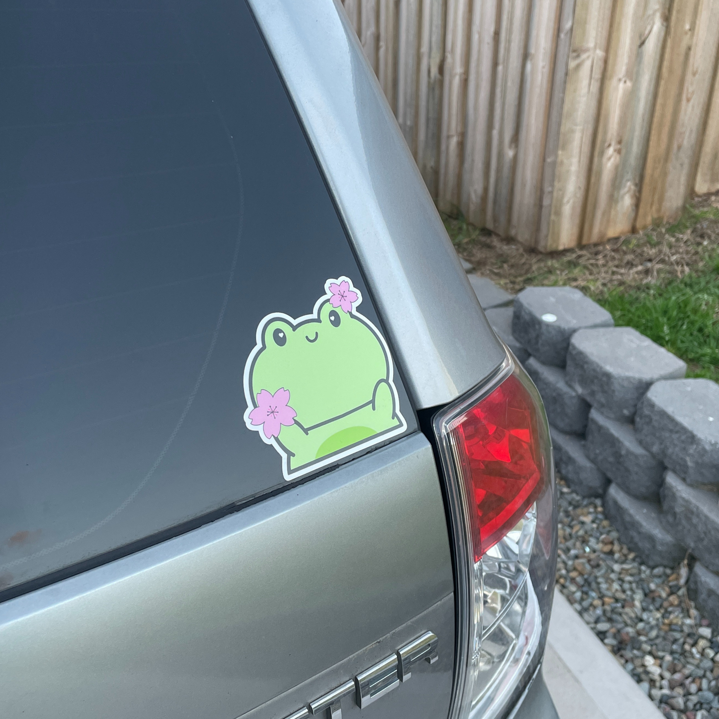 Matcha the Frog Peeker